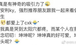 追星吃瓜小说免费阅读全文,从吃瓜小白到顶级追星达人