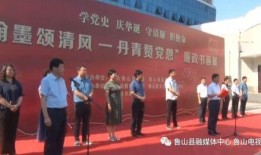 河南都市爆料鲁山新闻视频,都市爆料视频揭露惊人真相