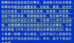 安丘最新爆料消息今天疫情,追踪病毒传播，共筑防疫防线”