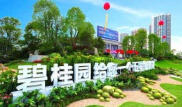 湖南碧桂园爆料最新消息,揭秘项目进展与未来规划