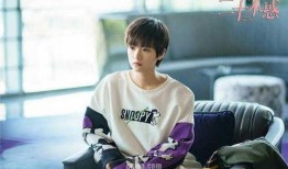 二十不惑电视剧在线观看,青春逐梦，成长蜕变