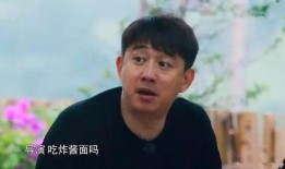 黄磊爆料应采儿视频,揭秘娱乐圈幕后故事