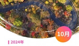 缅北暗黑爆料2024年最新