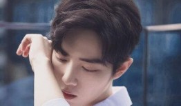 肖战背景爆料视频下载,揭秘明星背后的故事与成长历程