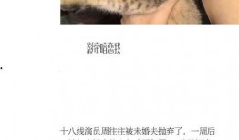 娱乐圈最新爆料小说推荐,揭秘最新爆料背后的秘密