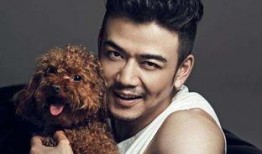 杨烁老婆爆料视频大全下载,揭秘明星夫妻背后的故事