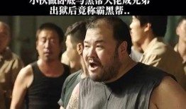 大佬 brother在线观看,大佬brother在线观看，共赴热血征程