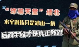 缅北最新爆料事件视频大全,事件视频大全深度解析