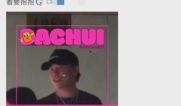 刘大锤其他爆料视频大全,揭秘娱乐圈幕后真相