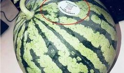 所有网红吃瓜,揭秘娱乐圈幕后风云