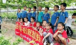 上寨小学最新爆料,校园风云再起