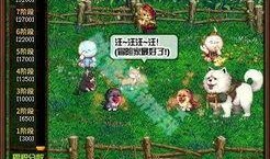 女娲宠物爆料视频大全最新,揭秘神秘宠物背后的故事