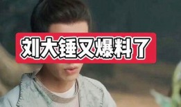 刘大锤其他爆料视频大全,揭秘娱乐圈幕后真相