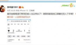 李平康的最新爆料视频大全,揭秘事件真相与幕后黑幕