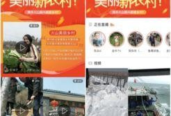 家园最新爆料视频大全免费观看,免费观看，揭秘未知世界