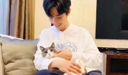 肖战背景爆料视频下载,揭秘明星背后的故事与成长历程