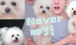 明星爆料狗腿图片高清视频,明星爆料背后的惊人真相