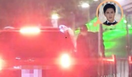 高伟光八卦爆料视频,娱乐圈背后的惊人真相